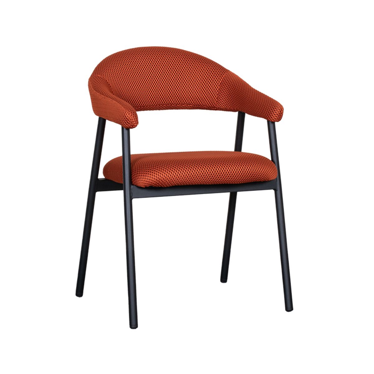 Eetkamerstoelen Amaze | verschillende kleuren