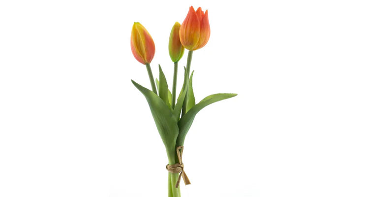 Tulpenboeket Oranje 3st