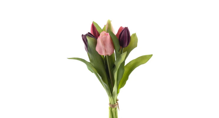 Tulpenboeket paars/beauty mix 7st