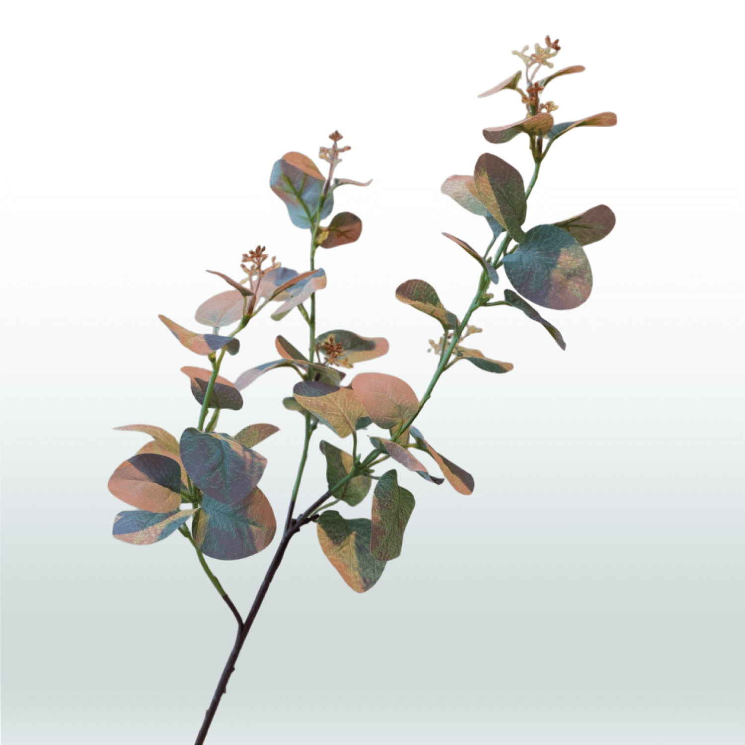 Eucalyptustak 70 cm bruin