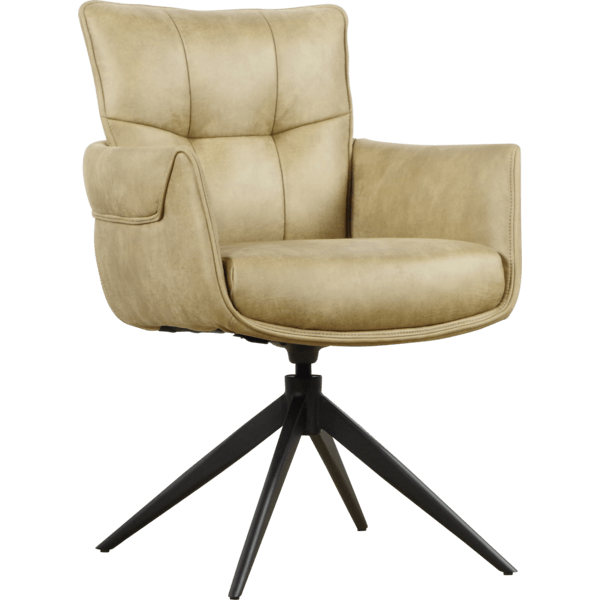 Eetkamerstoel Nico | Diverse kleuren